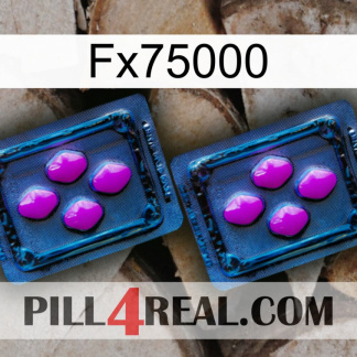 Fx75000 03